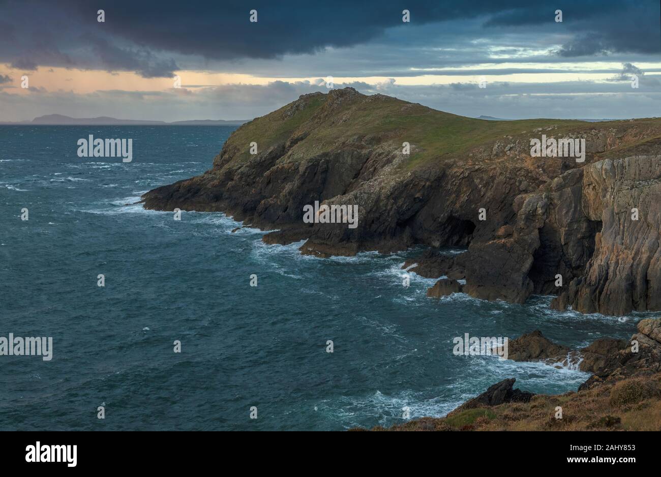 Punto Wooltack vicino Marloes, Il Pembrokeshire Coast National Park, il Galles. Foto Stock