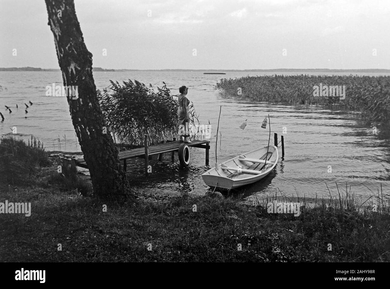 Glück im Naturpark Ekeby-Dreve, 1969. Gioia a riserva naturale Ekeby-Dreve, 1969. Foto Stock