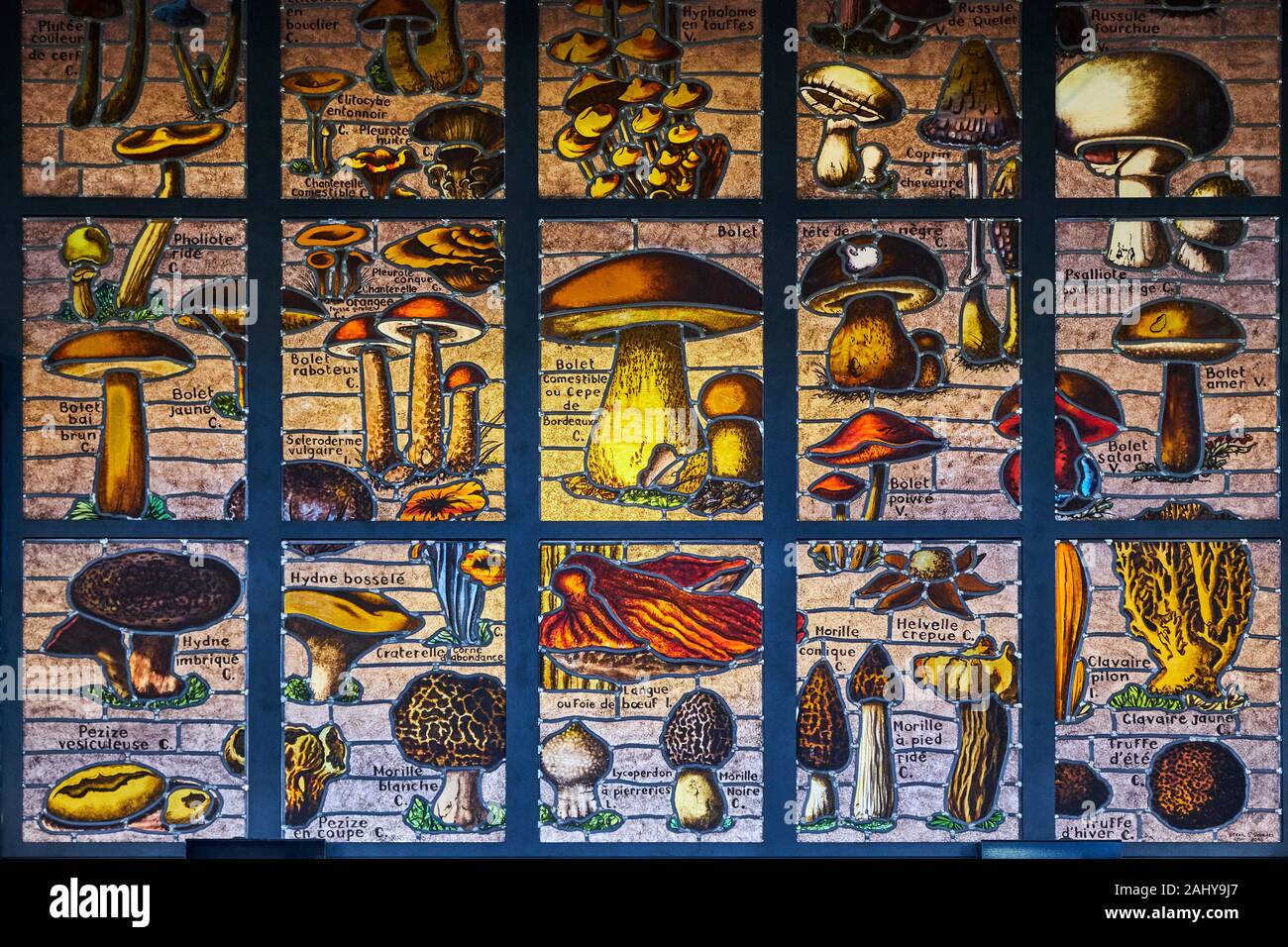 Francia, Borgogna, Yonne, Sens, Piazza de la Republique e mercato centrale Foto Stock