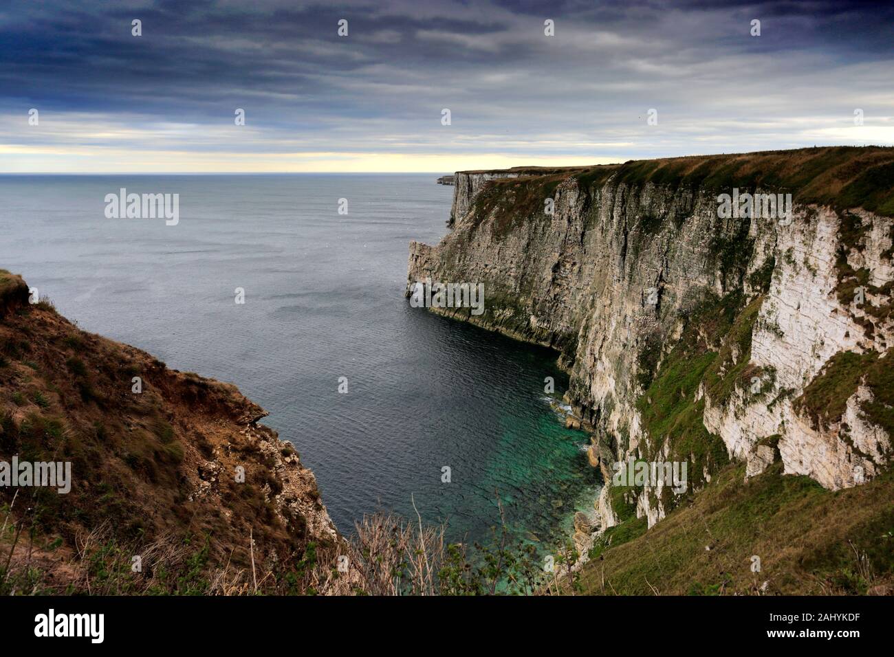 Vista su RSPB Bempton Cliffs, Bempton village, East Riding of Yorkshire, Inghilterra, Regno Unito Foto Stock