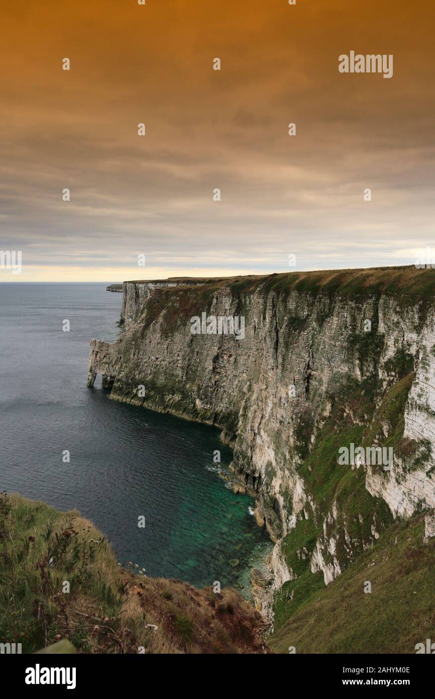 Vista su RSPB Bempton Cliffs, Bempton village, East Riding of Yorkshire, Inghilterra, Regno Unito Foto Stock