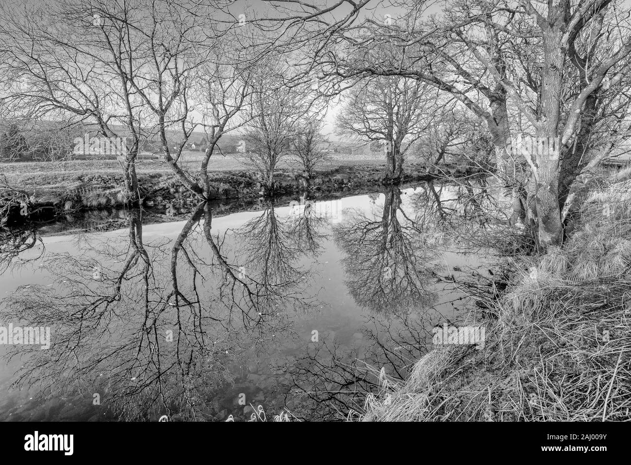 Riflessioni sul fiume Ribble, Foto Stock