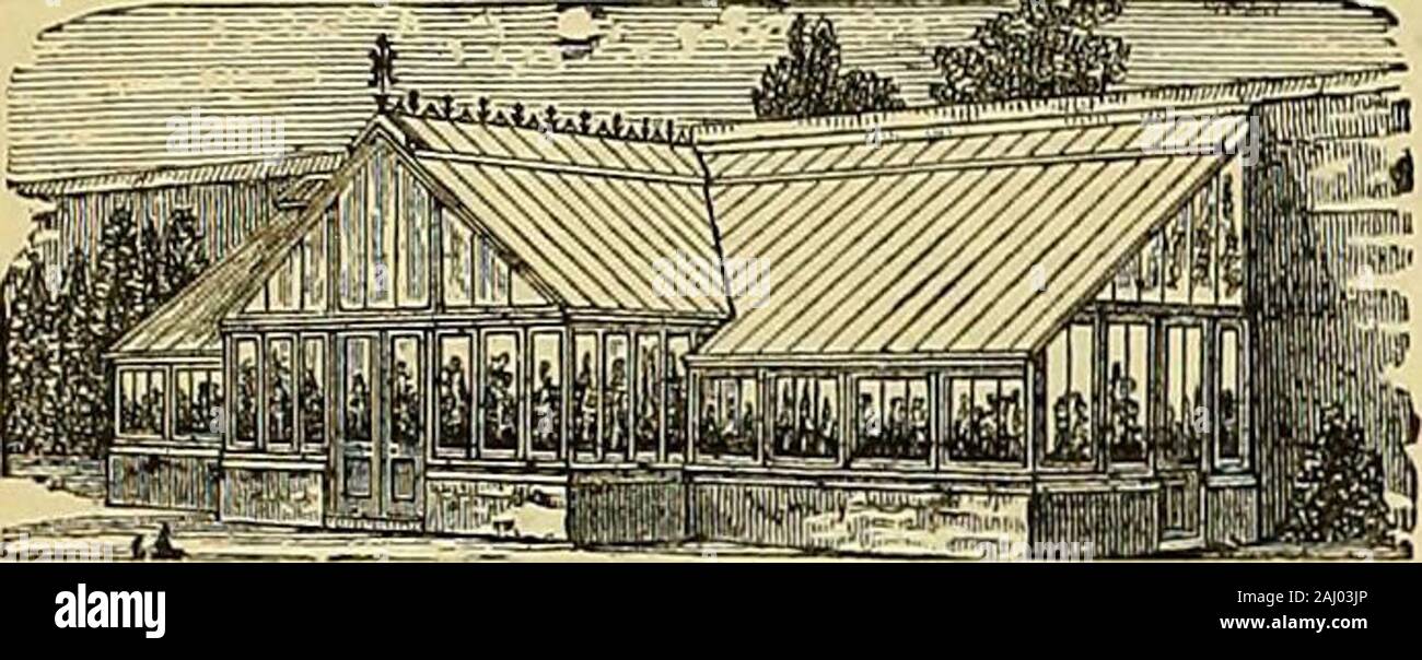 I giardinieri' cronaca : un settimanale illustrato ufficiale di orticoltura e materie affini . La SEZIONE DEL BREVETTO VENTILATORE DEL TETTO, le illustrazioni, i listini dei prezzi e le testimonianze libero. Apparecchiatura Hot-Water fissata in qualsiasi parte del Regno e garantito. Inviare per particLil.ir5 a W. RICHARDSON & CO., orticole costruttori &; Hot-Water EngineersDARLINGTON. 156 i giardinieri cronaca. [30 Luglio ho88i. PARHAMS SISTEMA BREVETTUALE DEI VETRI SENZA MASTICE, IVtth IVroiight ferro balseros canalizzato coniifiuous LappedGlais fTitd ferrovia! /&Lt;fnn/J mi vfilntor-f nndcr Cla^&LT;! Suf&lt;pr tetto. L'unico davvero imper Foto Stock