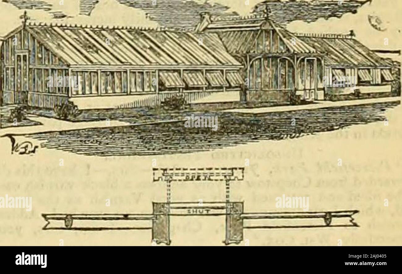 I giardinieri' cronaca : un settimanale illustrato ufficiale di orticoltura e materie affini . Le caselle del giardino e le luci sono generalmente tenute inStock, e Case di legno adatto per store-case,l'attrezzo-case, &c. Illustrate i fogli inviati, post-free, sull'applicazione. Il brevetto RICHARDSONS edifici orticola. La SEZIONE DEL BREVETTO VENTILATORE DEL TETTO, le illustrazioni, i listini dei prezzi e le testimonianze libero. Apparecchiatura Hot-Water fissata in qualsiasi parte del Regno e garantito. Inviare per particLil.ir5 a W. RICHARDSON & CO., orticole costruttori &; Hot-Water EngineersDARLINGTON. 156 i giardinieri cronaca. [Luglio 30 Foto Stock