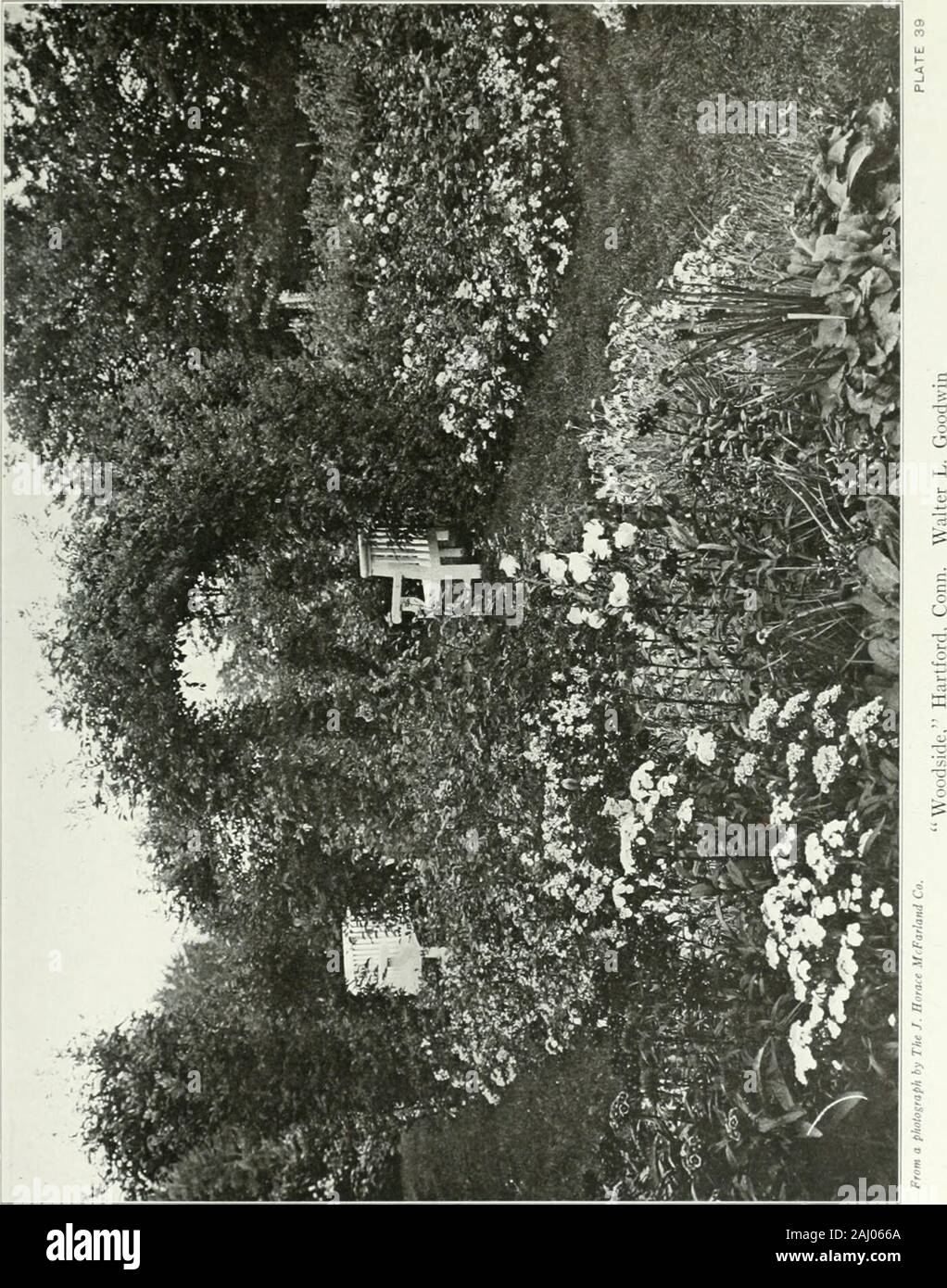 Bellissimi giardini in America . del gardenat Knock-Mae-Cree - nel vecchio Irish, collina del mio cuore -• piastra(168), e la ridotta vista la fiorita plantingin il Woodside giardino stimolare un anelito ulteriore topenetrate in queste belle sanctums. Il giardino a Elmwood è parzialmente illustrato nella foto theaccompanying - è inoltre graziosamente adornedwith pergola e piscina. Generosamente progettato senza beingelaborate, ha un fascino che è tutta sua. Di tutto un altro carattere è il perfetto formalgarden a Pomfret Center, attraente per il giardino loverfor la sua straordinaria bellezza in fiore bloom, Foto Stock