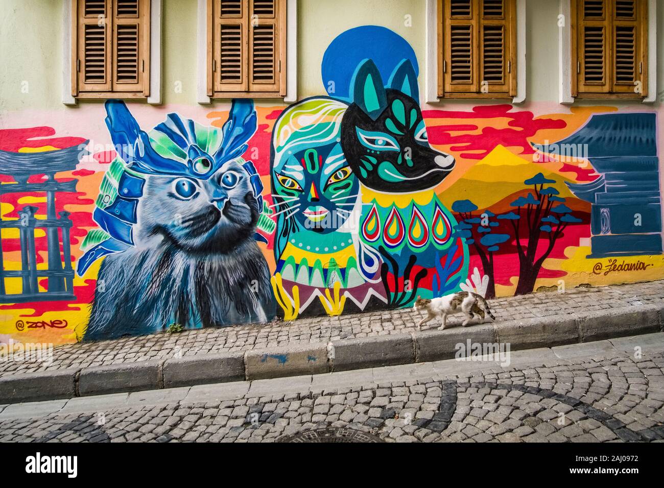 Facciata di una casa con graffity di gatti spruzzato su un gatto passato a piedi nel sobborgo Karaköy Foto Stock