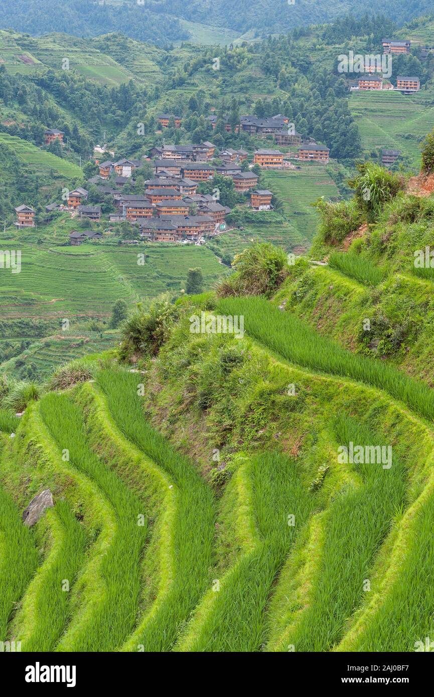 Una vista di un villaggio sul Longsheng terrazze di riso, Guilin, Cina Foto Stock
