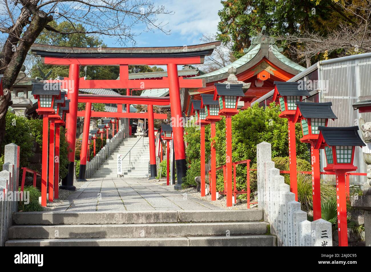 INUYAMA, GIAPPONE - 24 NOVEMBRE 2016 - tradizionali cancelli rossi del torii che conducono al Santuario di Sankou Inari al Castello di Inuyama, Prefettura di Aichi, Giappone. Foto Stock