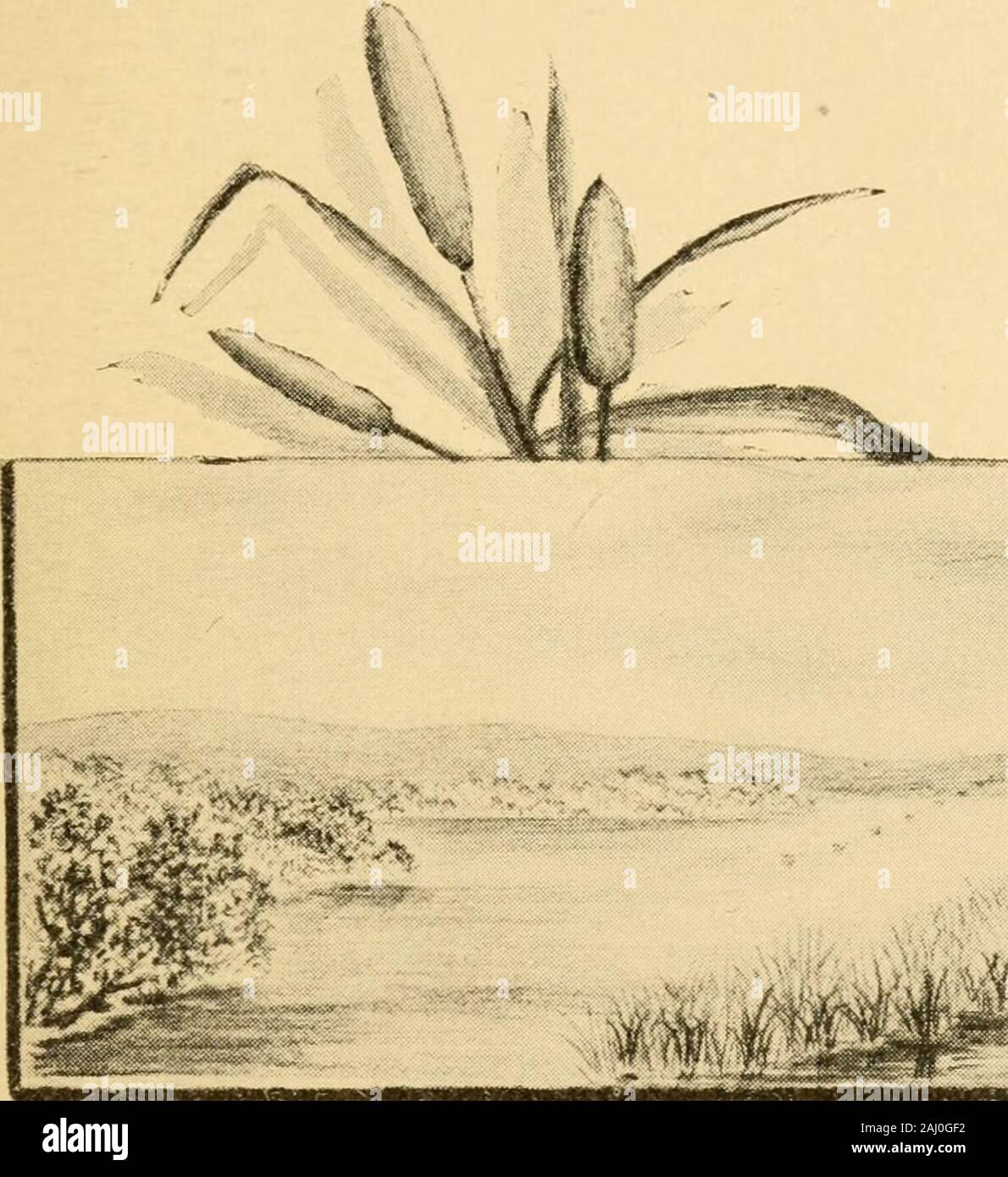 Al riparo waifs . (Inscritto alla mia moglie.)reso : l'anno è nuovo e le rose silente sonno,ma i cuori che sono la maggior parte trueAll i loro voti di amore manterrà,anche se nevica sono profonde,ancora, amore manterrà.Nonostante le rose fade e sfiorisce,amore sopravvive il maltempo,e la sua lire ancora mantenere la masterizzazione,e l'anima rinnova la sua yearningHowsoeer stagioni esegui. Carissimi: l anno è newAnd sue raccolte sono di crescere,stiamo bevendo del nostro rue,i campi aridi, nel dolore che abbiamo seminato Vet, verde cresceranno i campi seminiamo.Non invano questo doloroso semina,per le sementi in silenzio crescente,Burst anon il suo lugubre Foto Stock