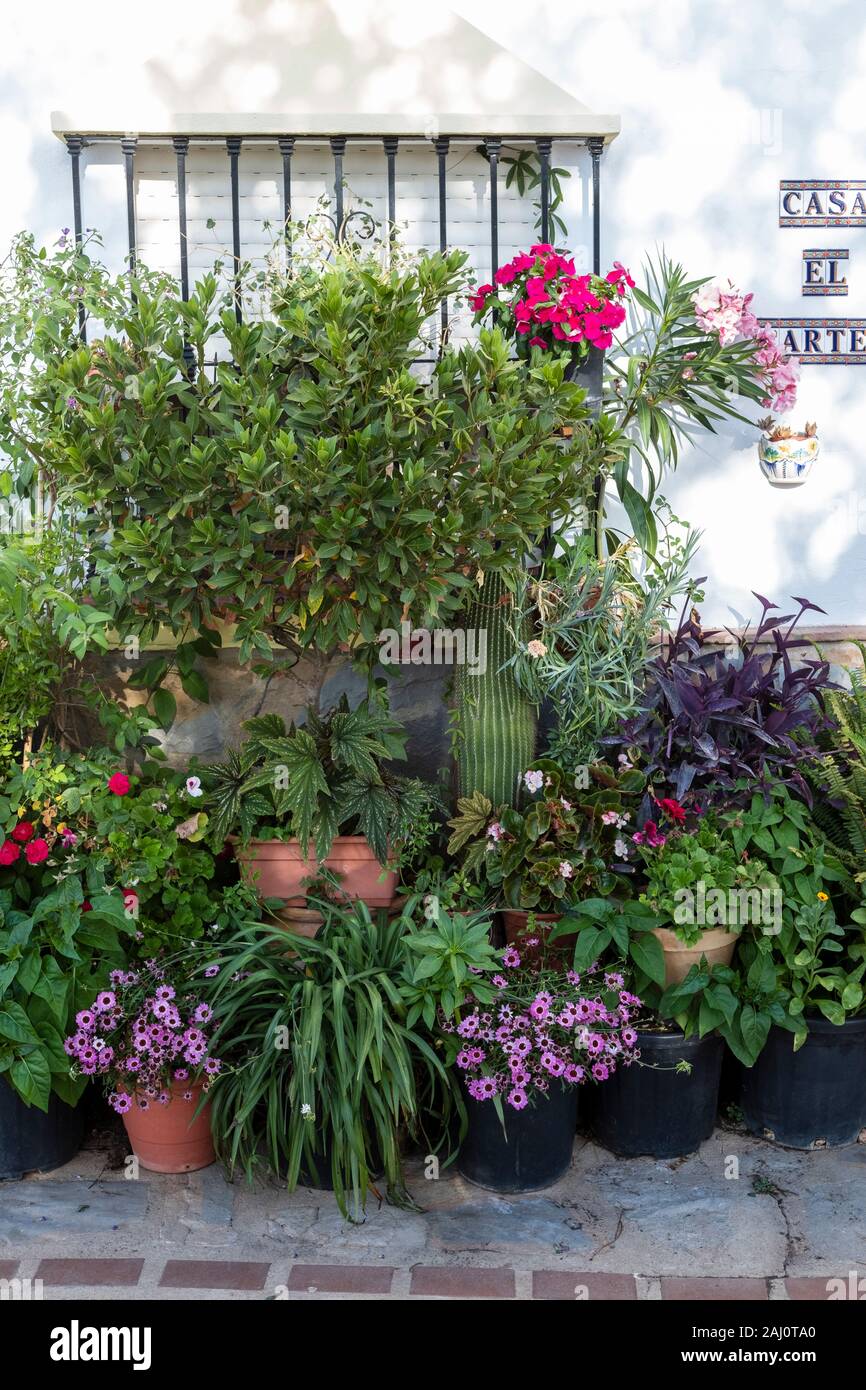 A Gaucin, Andalusia, grazioso patio con casa e di piante in vaso Foto Stock
