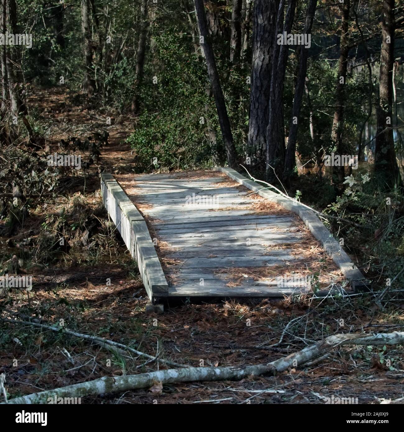 Conroe, TX USA - 11/15/2019 - ponte di legno nel bosco Foto Stock