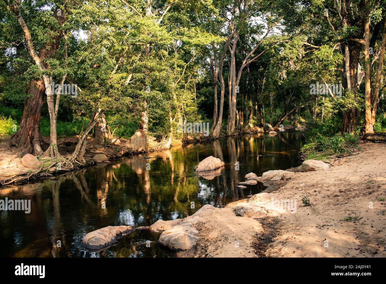 Chinnar fiume che scorre attraverso Chinnar Wildlife Sanctuary Foto Stock