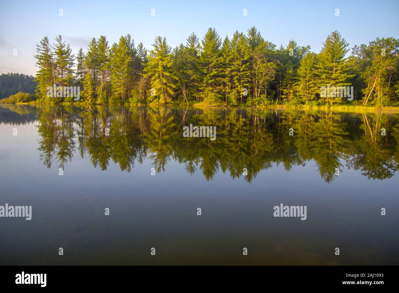 Foresta riflessioni sul lago. Bella foresta selvaggia riflessa nelle calme acque del nord del lago Michigan. Foto Stock