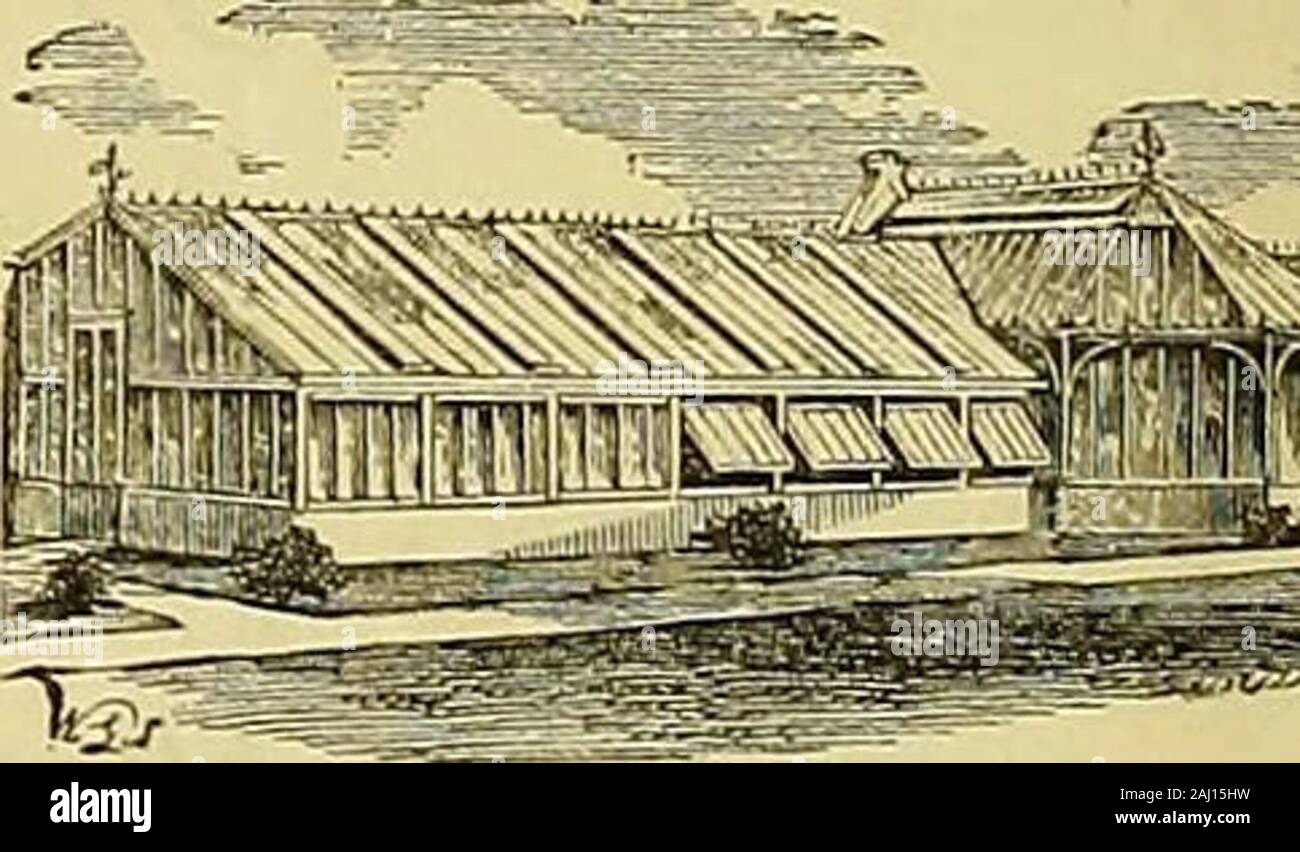 I giardinieri' cronaca : un settimanale illustrato ufficiale di orticoltura e materie affini . G.RDEN caselle e le luci sono generalmente tenute inStock, e Case di legno adatto per store-case,l'attrezzo-case. &C. Illustrate i fogli inviati, post-free, sull'applicazione. Il brevetto RICHARDSONS edifici orticola. fcri ^iZEv^^T^^I ^SE LA SEZIONE DEL BREVETTO VENTILATORE DEL TETTO. Illustrazioni, i listini dei prezzi e le testimonianze libero. Apparecchiatura Hot-Water fissata in qualsiasi parte di theKingdom e garantito. Inviare per indicazioni di W. RICHARDSON & CO., orticole costruttori & Hot-Water ingegneri, Darlington. Il brevetto PARHAMS SY Foto Stock