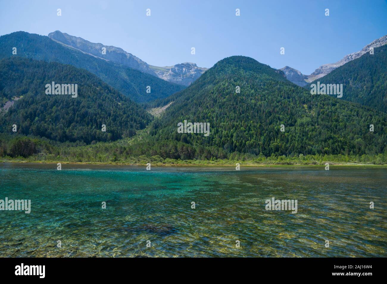 Pineta serbatoio. Valle di Pineta, Parco Nazionale di Ordesa y Monte Perdido, provincia di Huesca, Aragona, Spagna. Foto Stock