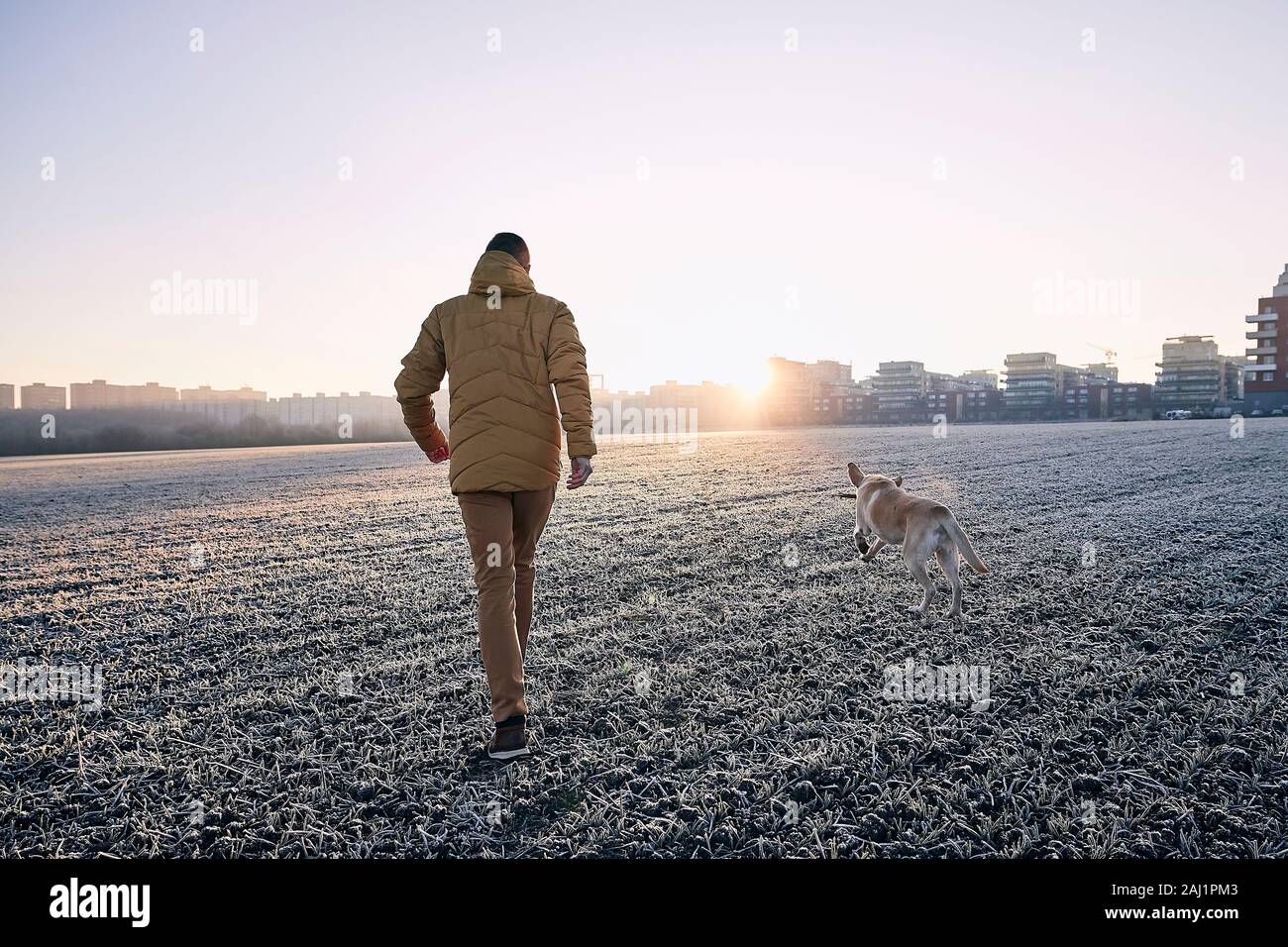 Frosty mattina con il cane. Giovane uomo che cammina con il suo cane contro il paesaggio urbano di sunrise. Foto Stock