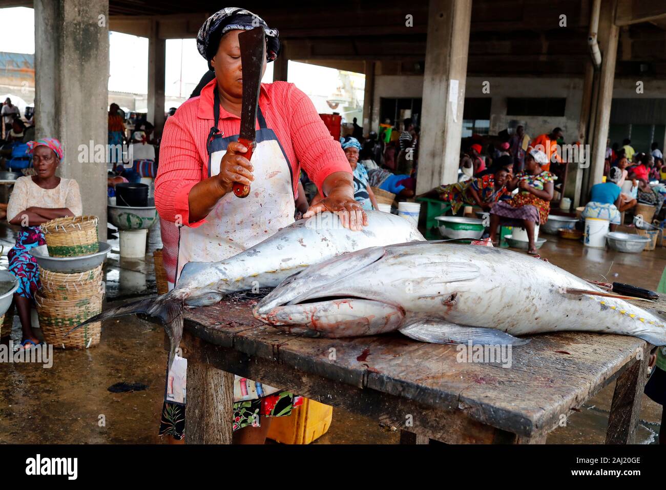 Tonno, mercato del pesce, porto di Lome, Togo, Africa occidentale, Africa Foto Stock