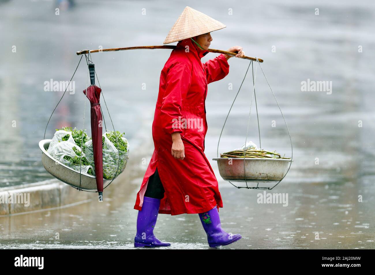 Monsoon (piovoso) stagione, SAPA, Vietnam, Indocina, Asia sud-orientale, Asia Foto Stock