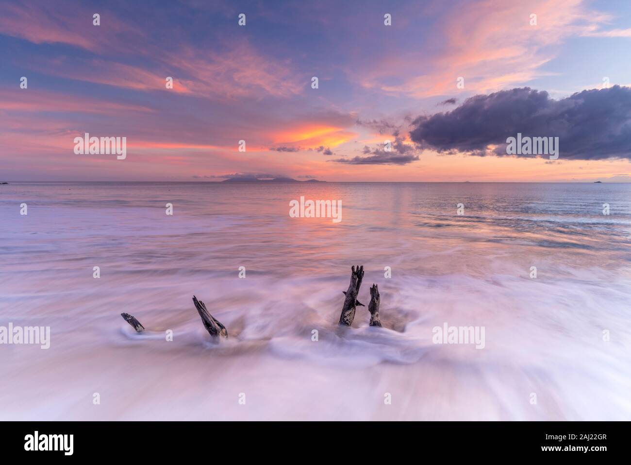 Onde che si infrangono sui tronchi di sabbia sulla spiaggia al tramonto, Antille, dei Caraibi e America centrale Foto Stock