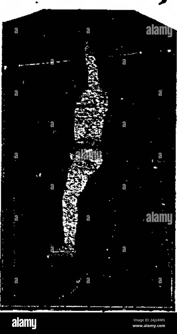 Affissioni (Lug-Dic 1898) . NTION. AnvCakinn?TrfS" ?.°n ,egli Potest attrazioni,qualsiasi jtino del palloncino lavoro: anche UrarwTDrops, dal signore o gente. Otto anni^Scpenence : consente di scrivere di me a oncifofmy libera^esci?SS^S52.lar di lavoro e termini. ^^^ PROKSTHVEKS ^eronantrNorth Adams,Mi, F^aiir Manager] Voglio privilegi in lKdiana.Ohlo e MfciJgan. Per HATCHS BIG MIDWAY SHOWSend date e termini. J. F. BERLINA, Mer 3°3 Cuyahoga Building. Cleveland. O W/ANTED. Side-mostra di sapere che ho fabbricazione amsell curiosità di tutti i tipi. A portata di mano, uno biar CubaSea Devil (mio meglio rendere) 2; piedi lungo, withfine pittura. 8x10. Dolore Foto Stock