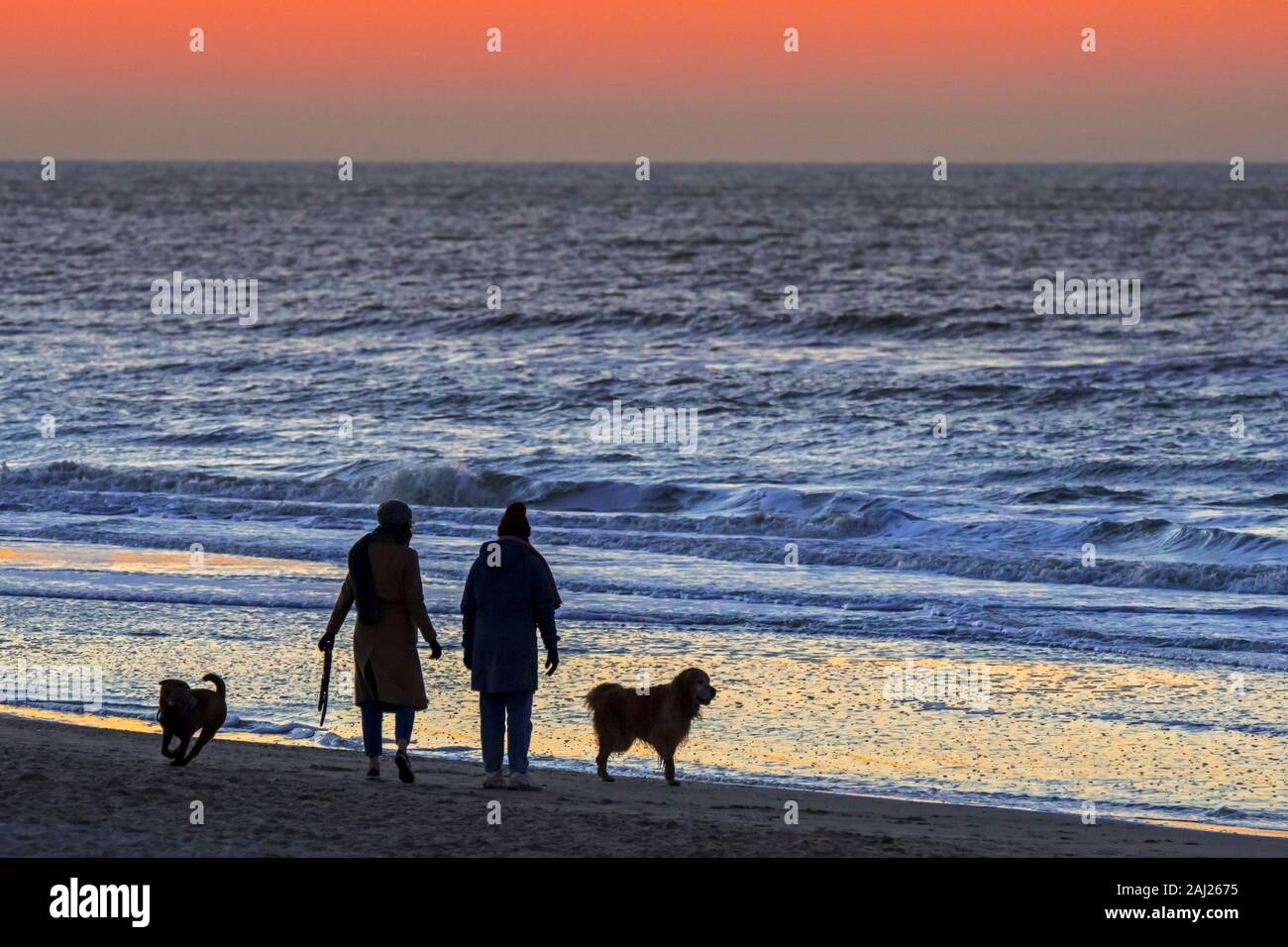 Due donne a piedi con i cani scatenato lungo la costa sulla spiaggia al tramonto su una fredda sera in inverno Foto Stock