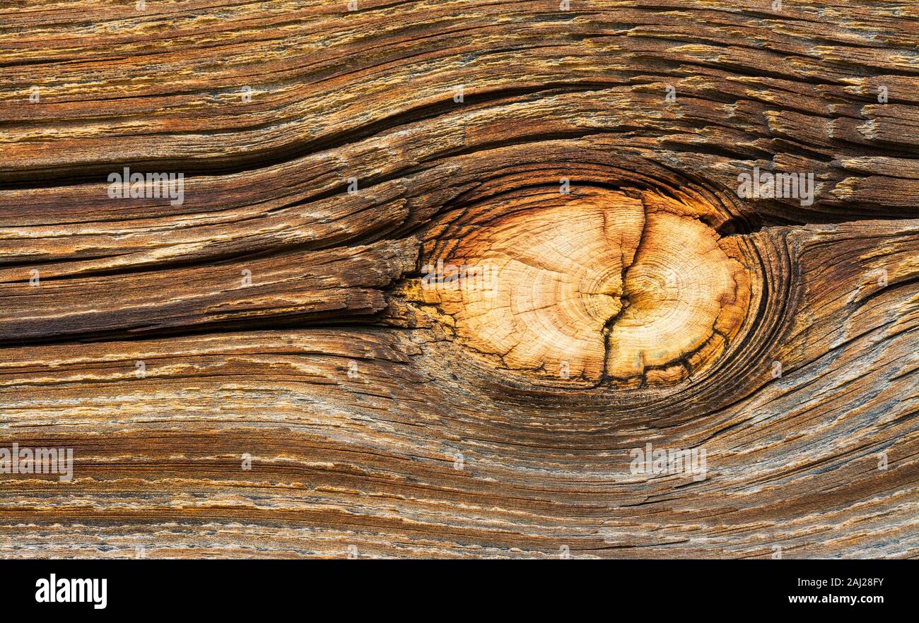 Luminosa in legno naturale di dettaglio del nodo. Brown texture di età incrinato doga. Abstract sfondo di legno. Bella antica superficie ruvida. Crepe, round knag. Foto Stock