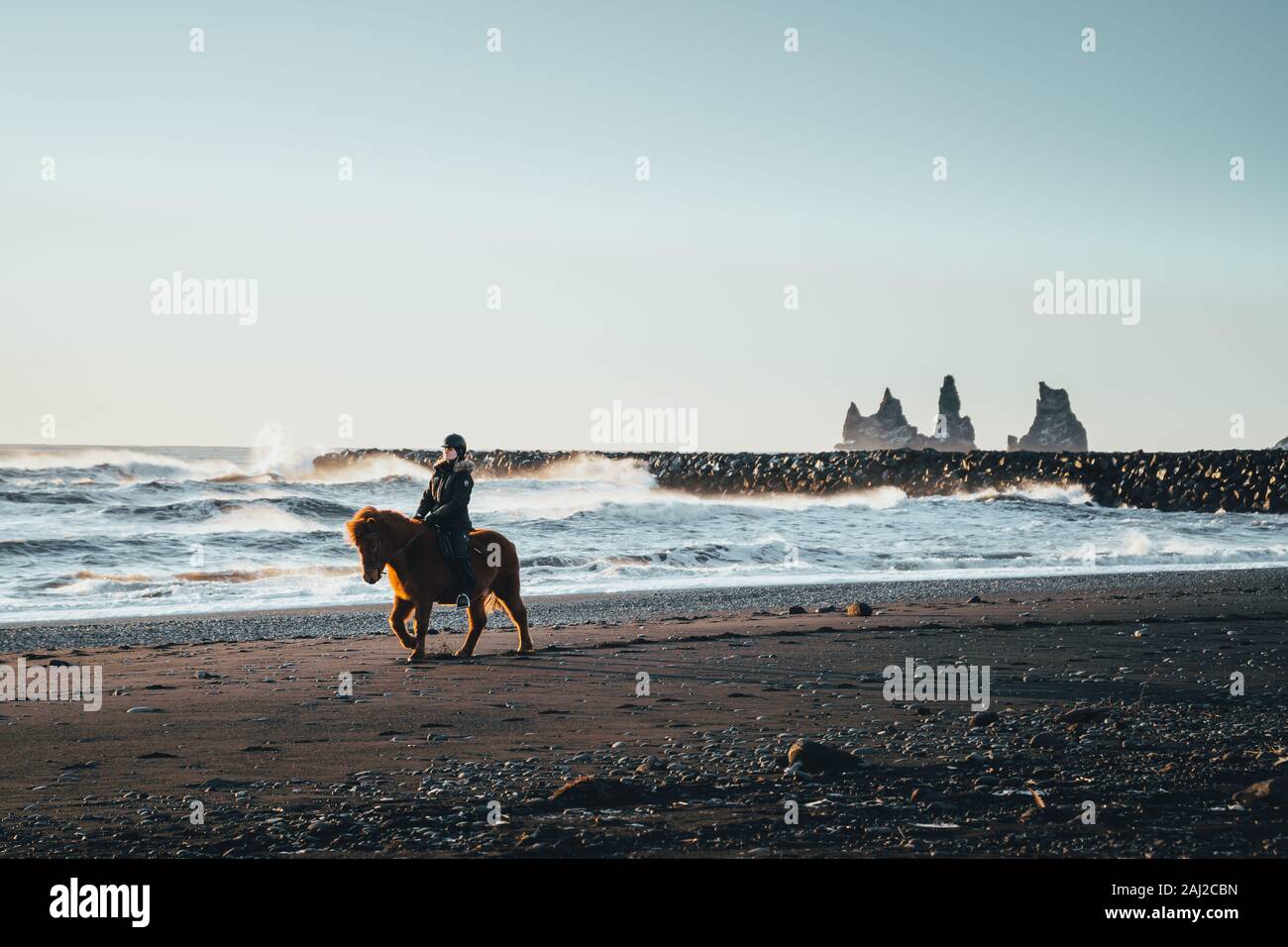 Vik, Islanda, 21. Dicembre 2019. Un equitazione donna su una spiaggia di sabbia nera in una città di Vik in Islanda freddo durante il periodo invernale con un tramonto in Foto Stock