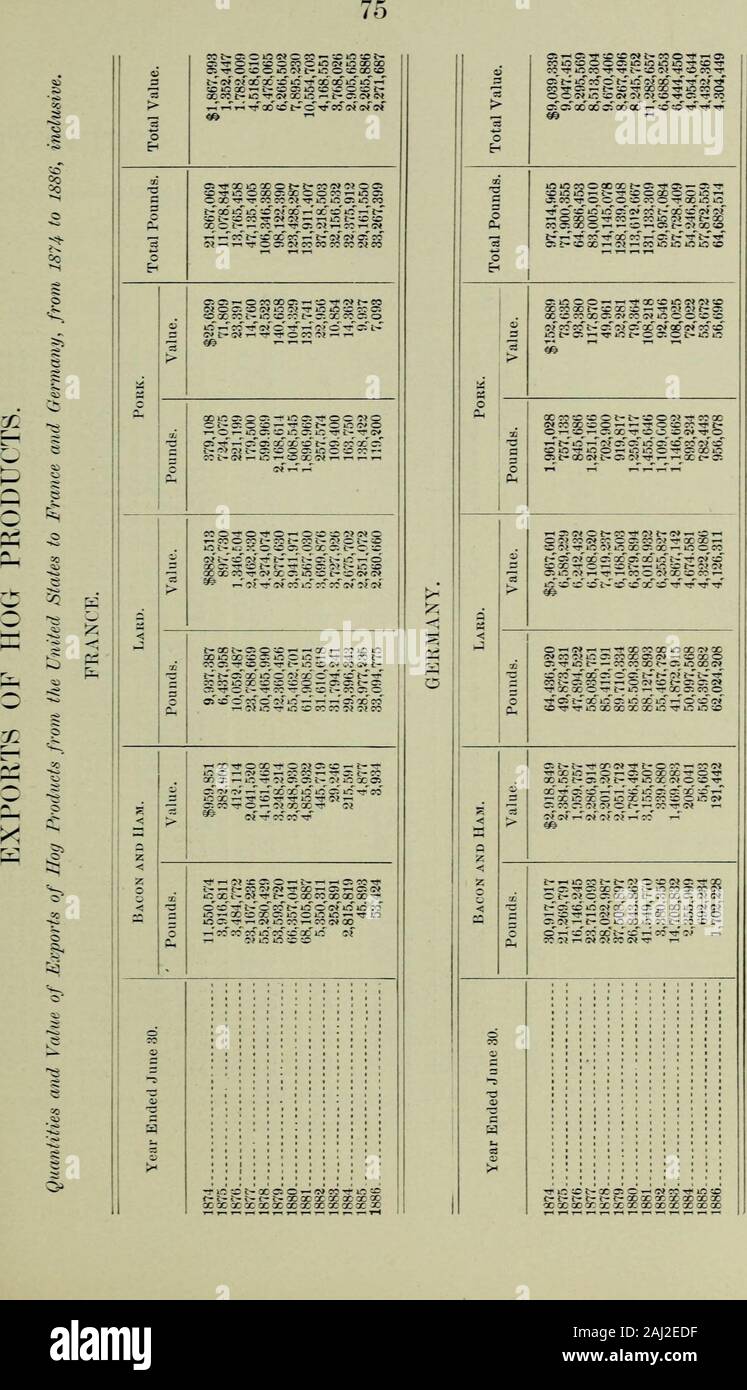 Relazione annuale degli scambi e del commercio di Chicago per l'anno terminato il 31 dicembre ... . 31 66 2166 29 33 6641.8020.7523.0040.0017.2532.00 6625.0020.5033.3743.0029.5044.50 5,64050,706223,511482,335 80,031 5,837 232,55929,700 21,49412,205 48,238143,306 68,5544,50039,69523,25733,10759,87314,42052,16213,67147,214 21,974 31.9235.1031.9436.9429.5832.4030.8333.4836.7232.5029.10 1,810,6932,353,5822,321,3341,972,7492,481,9242,318,3152,722,4422,421,9432,823,7432,381,1161,494,512 2208^742 6,000 2,064 15,735 33,49639,47046,88338,63575,89949,78558,622103,276119,372120,169123,572 5,640 mi250.0050,706 306.002 Foto Stock