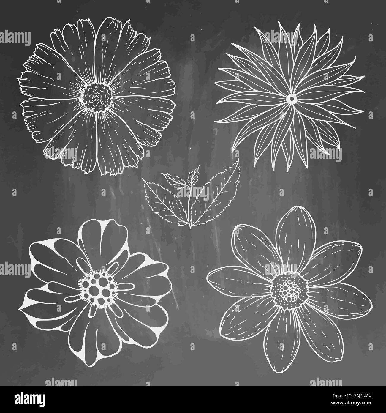Disegnata a mano vintage elementi floreali sulla lavagna. Set di fiori e foglie. illustrazione isolate su lavagna texuted sfondo. Foto Stock
