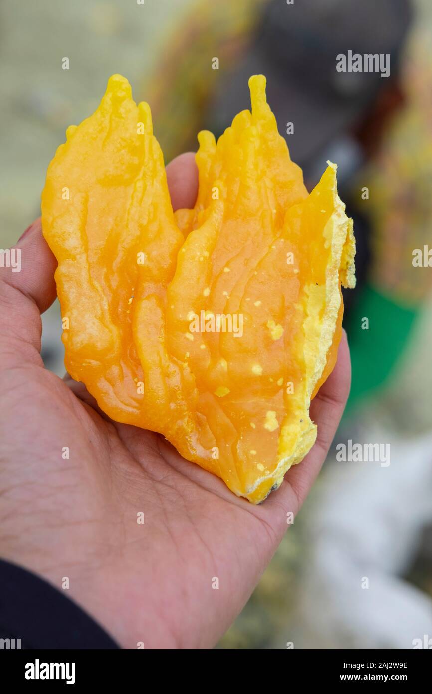 Lo zolfo da miniera il vulcano Ijen.Il vulcano Ijen è uno dei pochi luoghi in cui lo zolfo è ancora minate senza macchine, il cratere di vulcano ha una bocca attiva che produce zolfo elementare. La respirazione nel gas di zolfo può provocare a lungo termine le implicazioni sanitarie ma nonostante ciò non vi è carenza di minatori locali disposti a rischiare tutto per guadagnare un buon stipendio, minatori fare un reddito medio di tre volte superiore al salario locale. Zolfo puro viene utilizzato nella famiglia di prodotti per la pulizia, il make up, esplosivi e purificazione di zucchero. Il vulcano attira anche i turisti che vengono a wi Foto Stock
