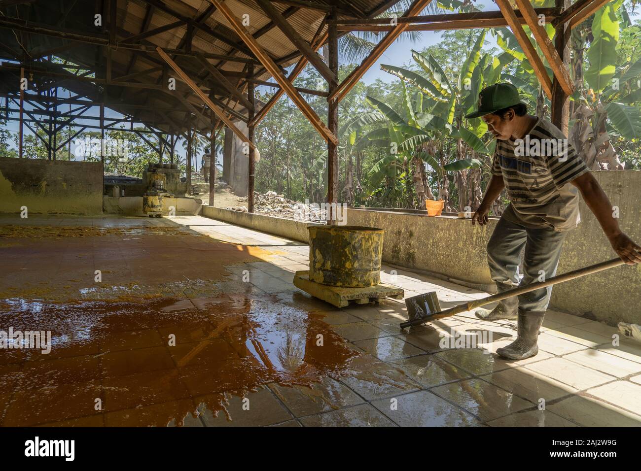 Liquido in ebollizione dello zolfo viene versata su un pavimento piastrellato di raffreddarlo a una elaborazione di zolfo profondo di fabbrica nella giungla vicino a Banyuwangi.Il vulcano Ijen è uno dei pochi luoghi in cui lo zolfo è ancora minate senza macchine, il cratere di vulcano ha una bocca attiva che produce zolfo elementare. La respirazione nel gas di zolfo può provocare a lungo termine le implicazioni sanitarie ma nonostante ciò non vi è carenza di minatori locali disposti a rischiare tutto per guadagnare un buon stipendio, minatori fare un reddito medio di tre volte superiore al salario locale. Zolfo puro viene utilizzato nella famiglia di prodotti per la pulizia, m Foto Stock