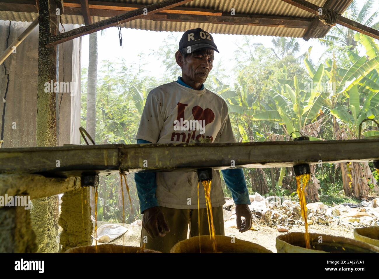 Liquido bollente lo zolfo viene eseguito attraverso una serie di filtri a zolfo fabbrica di trasformazione profonda nella giungla vicino a Banyuwangi.Il vulcano Ijen è uno dei pochi luoghi in cui lo zolfo è ancora minate senza macchine, il cratere di vulcano ha una bocca attiva che produce zolfo elementare. La respirazione nel gas di zolfo può provocare a lungo termine le implicazioni sanitarie ma nonostante ciò non vi è carenza di minatori locali disposti a rischiare tutto per guadagnare un buon stipendio, minatori fare un reddito medio di tre volte superiore al salario locale. Zolfo puro viene utilizzato nella famiglia di prodotti per la pulizia, il make up, ex Foto Stock