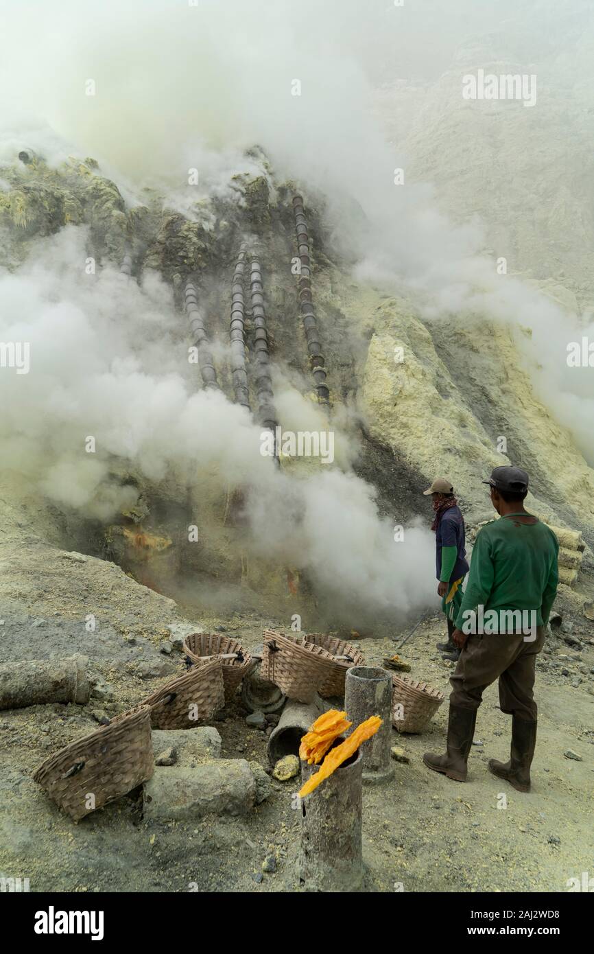 Ricerca dei minatori per il tenore di zolfo nel cratere del vulcano Ijen.Il vulcano Ijen è uno dei pochi luoghi in cui lo zolfo è ancora minate senza macchine, il cratere di vulcano ha una bocca attiva che produce zolfo elementare. La respirazione nel gas di zolfo può provocare a lungo termine le implicazioni sanitarie ma nonostante ciò non vi è carenza di minatori locali disposti a rischiare tutto per guadagnare un buon stipendio, minatori fare un reddito medio di tre volte superiore al salario locale. Zolfo puro viene utilizzato nella famiglia di prodotti per la pulizia, il make up, esplosivi e purificazione di zucchero. Il vulcano attrae anche turi Foto Stock