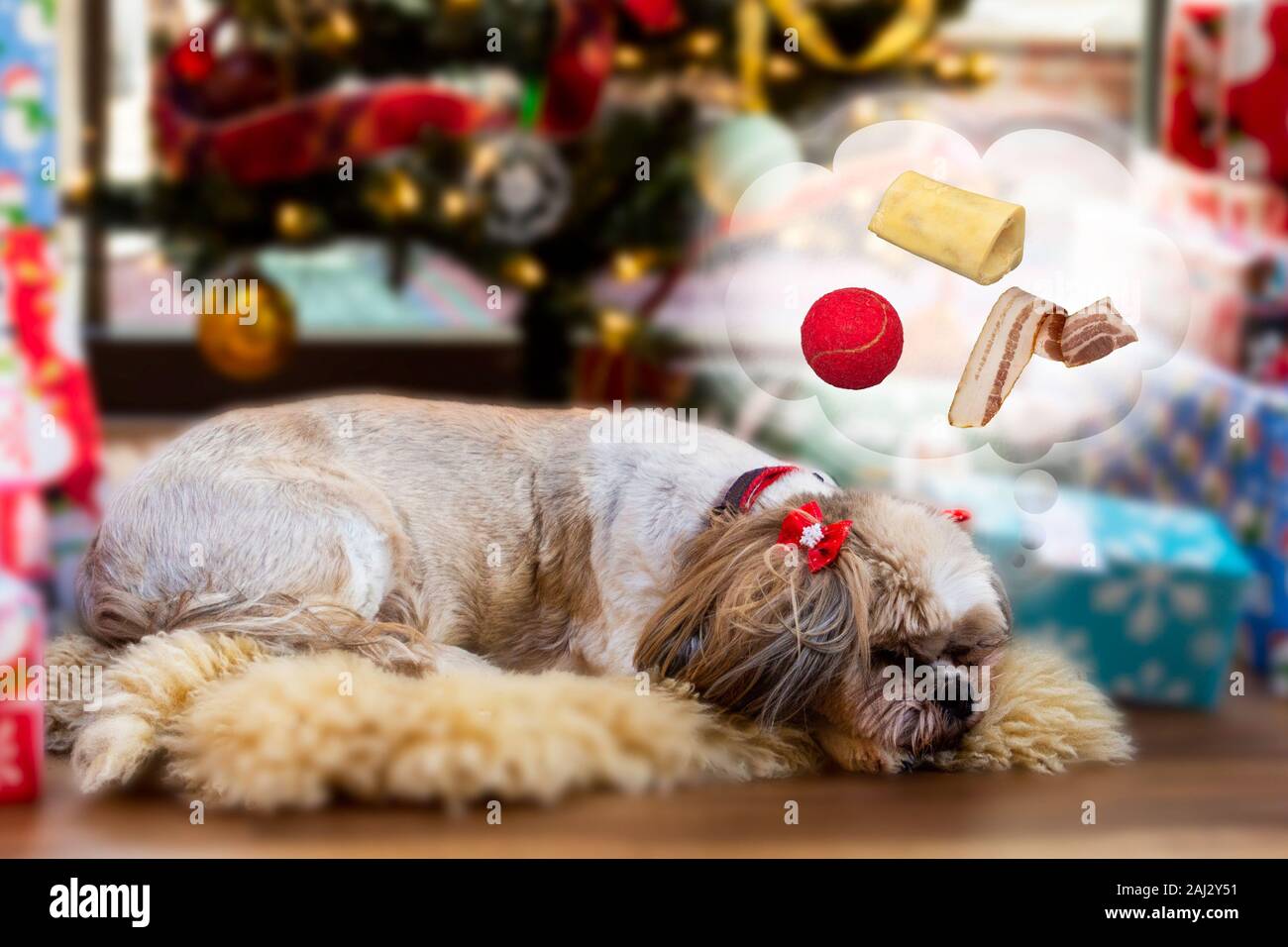 Un cane sogni delle sue cose preferite sotto un albero di Natale Foto Stock