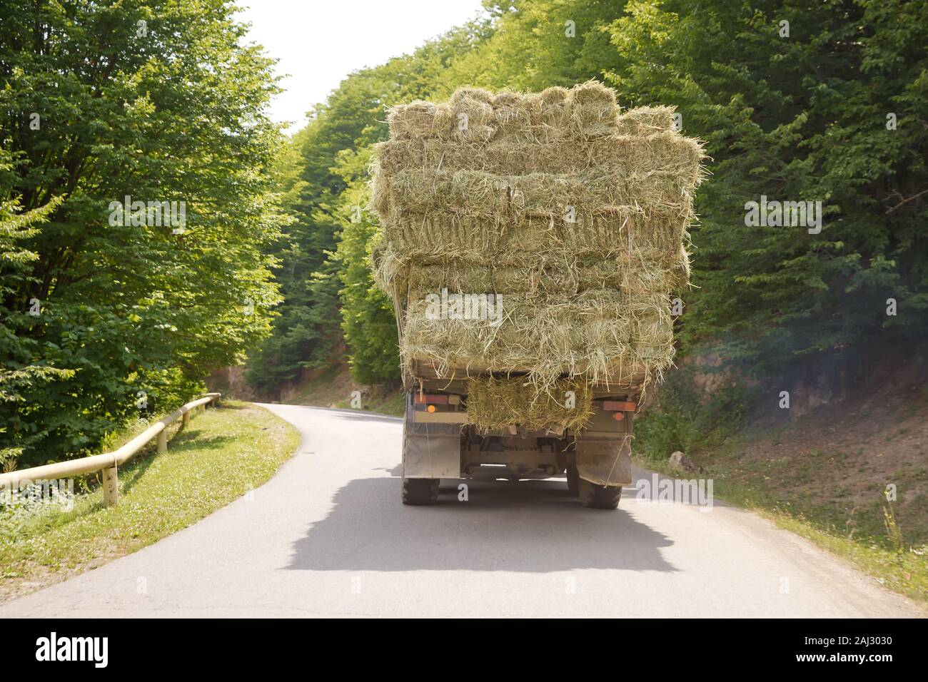 Dopo la vendemmia. Inizio autunno. Il carrello sta portando fieno fieno.  vettore al interurbano di strada . Il carrello porta rotoli di fieno contro  lo sfondo Foto stock - Alamy