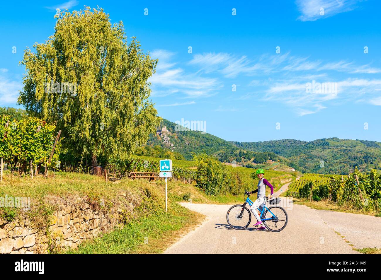 Donna ciclista su strada lungo i vigneti al villaggio Hunawihr, Alsazia strada del vino, Francia Foto Stock