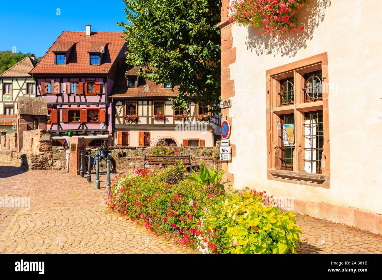 Alsazia regione vinicola, Francia - Sep 19, 2019: Street con tipiche case in Kaysersberg pittoresco villaggio che si trova sul vino Alsaziano percorso, Fran Foto Stock