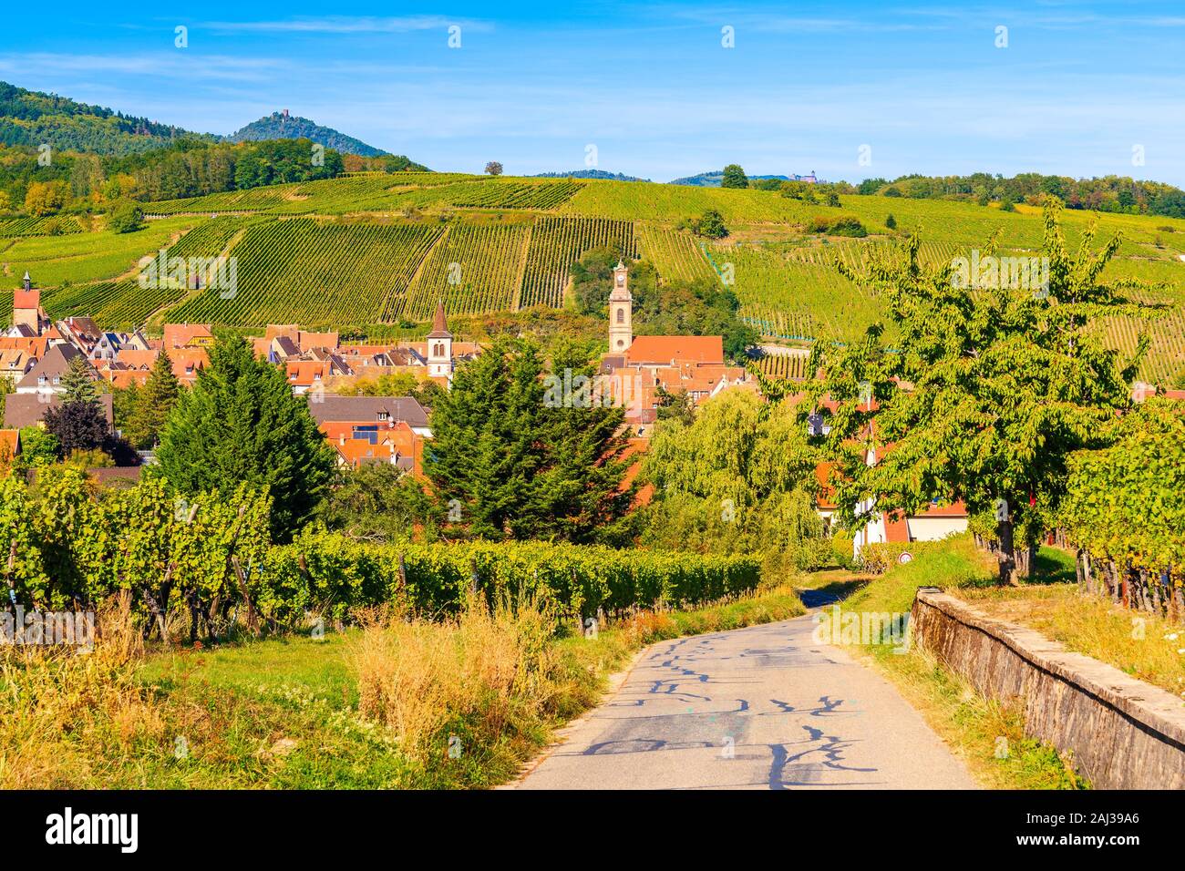 Strada per il villaggio di Riquewihr con la vecchia chiesa e vigneti, Alsazia strada del vino, Francia Foto Stock