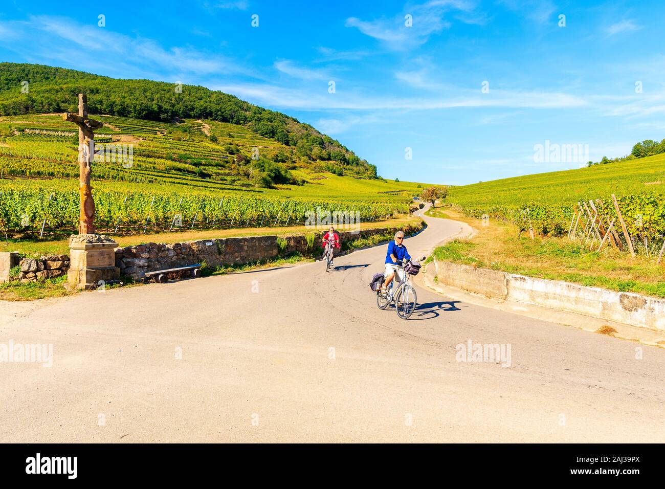 Alsazia regione vinicola, Francia - Sep 20, 2019: coppia di turisti non identificato il ciclismo su strada lungo i vigneti vicino a villaggio Riquewihr, Alsazia strada del vino, Foto Stock