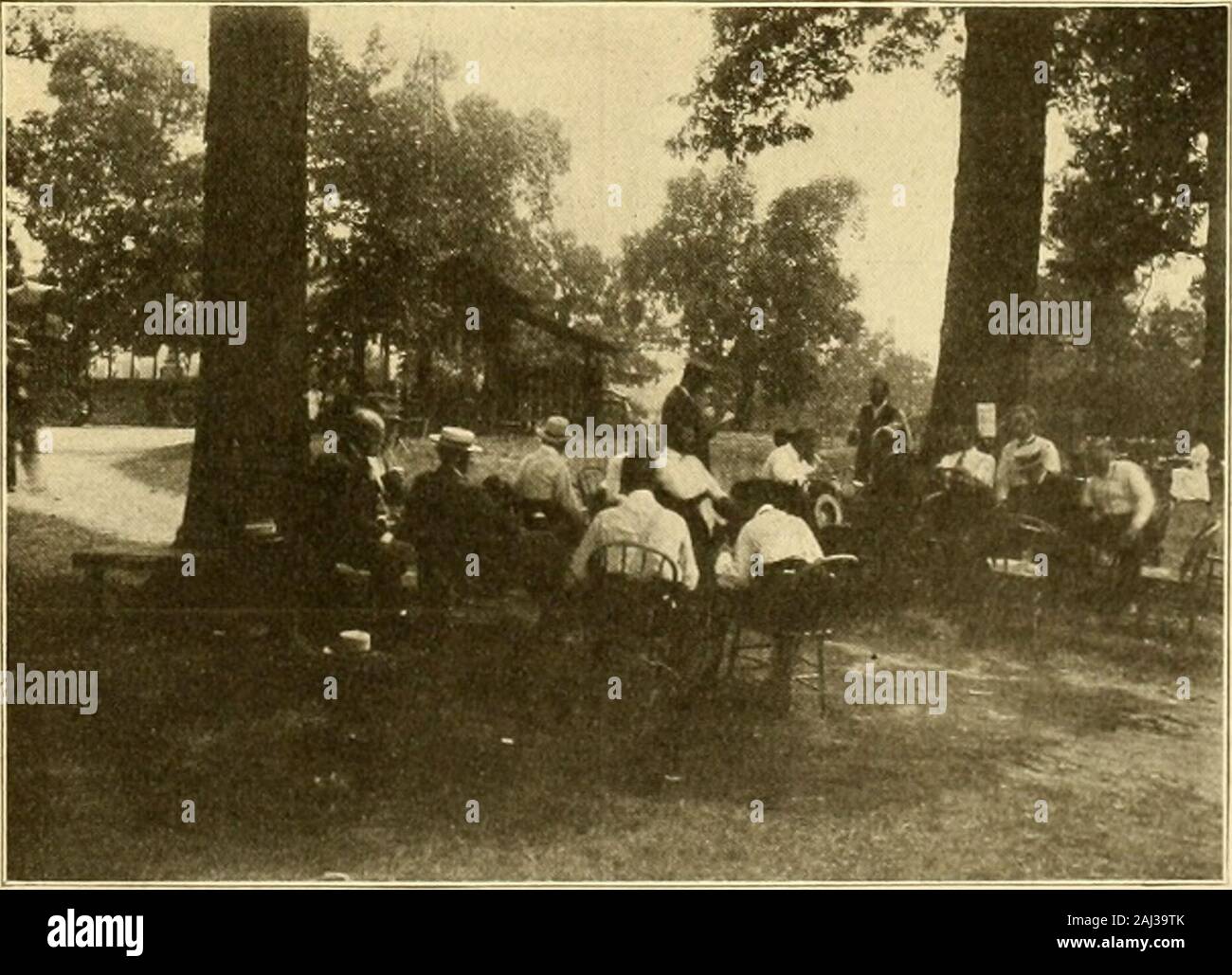 Il fiorista americana : un giornale settimanale per il commercio . le istanze wherea la delicatezza della carne colorato di rosa peonia wasordered, la varietà ricevute si è dimostrato fino a fioritura di essere un Deep Purple. Queste esperienze sono state ri-sult delle mie osservazioni durante gli ultimi 5 anni mentre si tenta di accumulatea stock di peonie vero per nome da pur-li insegue da Holland, Francese andGerman peonia delle imprese nonché le imprese fromAmerican. I nostri impianti sono ora 3e 4 anni e sono in via di sviluppo né-mal blumi che mostra il vero le caratte-teristics così che per la prima volta abbiamo areable per identificare le varietà in un prac-t Foto Stock