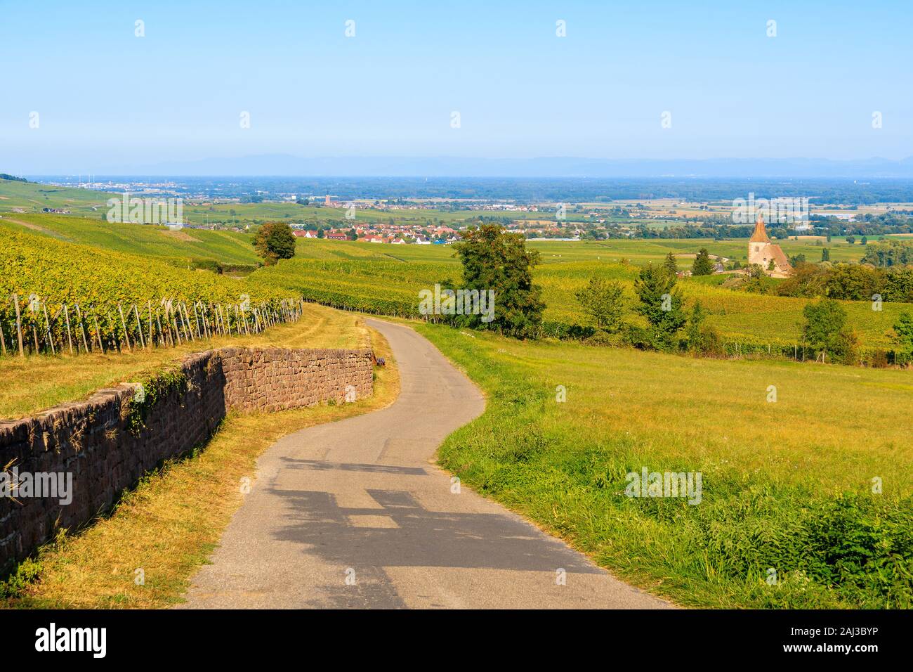 Strada tra i vigneti di Hunawihr village con la vecchia chiesa in background, Alsazia strada del vino, Francia Foto Stock
