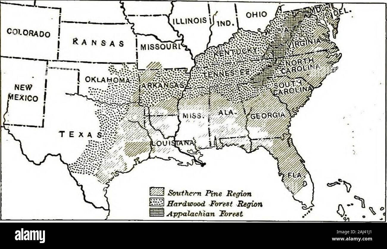 Nuove aree geografiche . Fig. 159. - Il pascolo di bestiame sul broadplains del Texas occidentale. sono allevati. Per esempio, tè plantationshave stato avviato, quantità di arachidi aregrown e boschetti di noci pecan plantedand sono curati come frutteti. Tutto il paese contrassegnato come foresta su questo mapis coperta da boschi, per essere Lumberingsure, per, come abbiamo appena visto, l'agricoltura il SOUTHEBN MEMBRI 125 è una grande industria. La mappa è in-tendevano a mostrare semplicemente che molto timbergrows in tutti questi stati. Come una questione offact, circa due volte più terra è cov-ered con la foresta come è ripreso da fattorie. recintata da Foto Stock