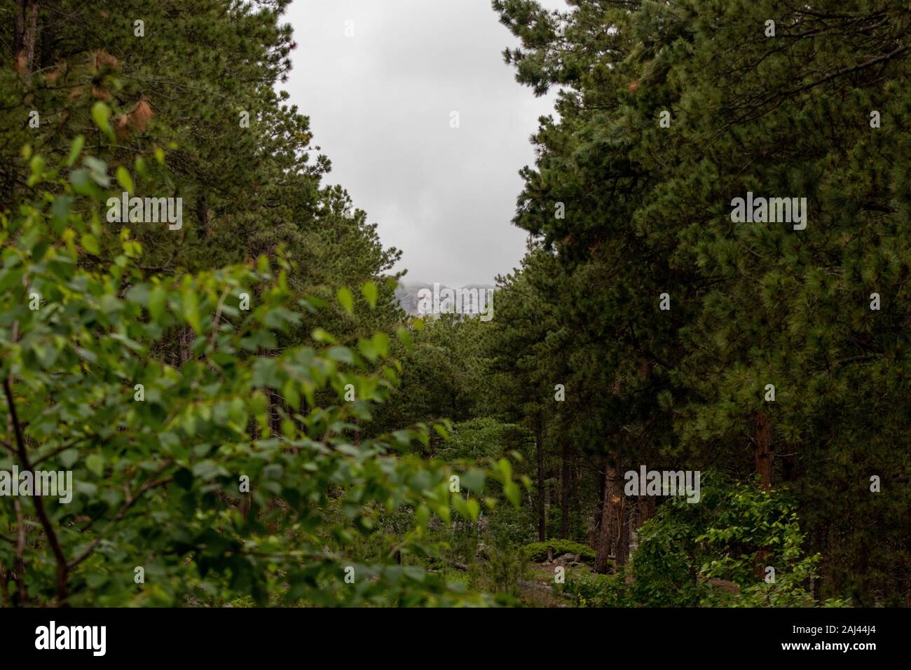 Mount Rushmore National Memorial Keystone, South Dakota, Stati Uniti 4 Luglio 2019 Mt Rushmore Foto Stock