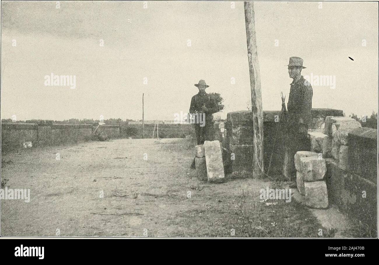 Combattimenti nelle Filippine; autentiche le fotografie originali . La media di casa natale nelle Filippine è costruito su palafitte di log in modo da evitare che i ratti e i serpenti che entrano in thehouse, e anche per assicurare la ventilazione. Il quadro è di legno, il tetto è di paglia e le pareti fatte di paglia heldin posto con nervature trasversali di bambù o di altri forti pezzi di legno. L'insurrezione filippina è iniziato il 5 febbraio a Santa Mesa Bridge, dove una parte di Tagals incendiata su American avamposti. Foto Stock