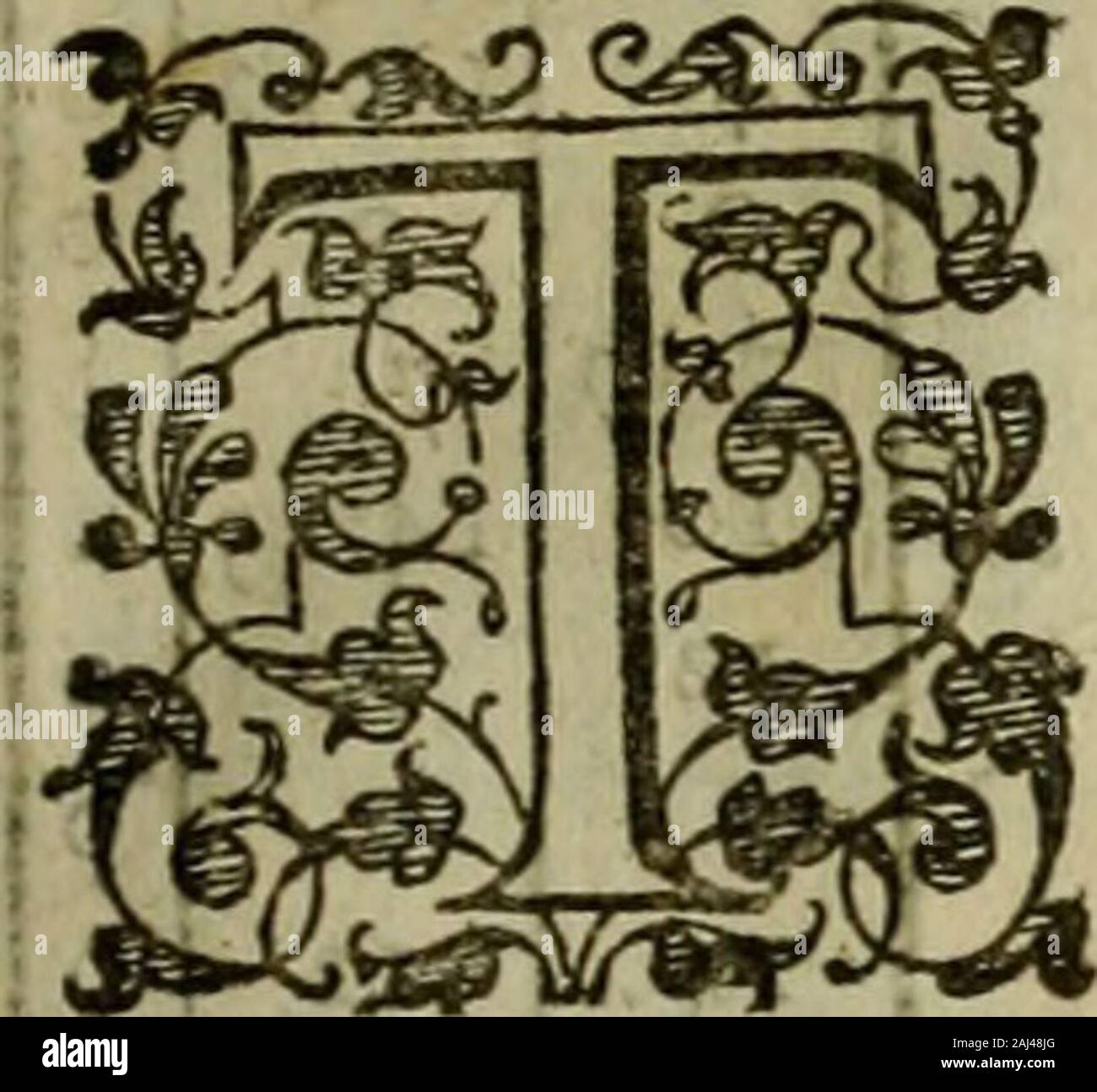 Bookyear1598 Immagini E Fotos Stock Alamy Bookyear1598 Immagini E Fotos Stock Alamy