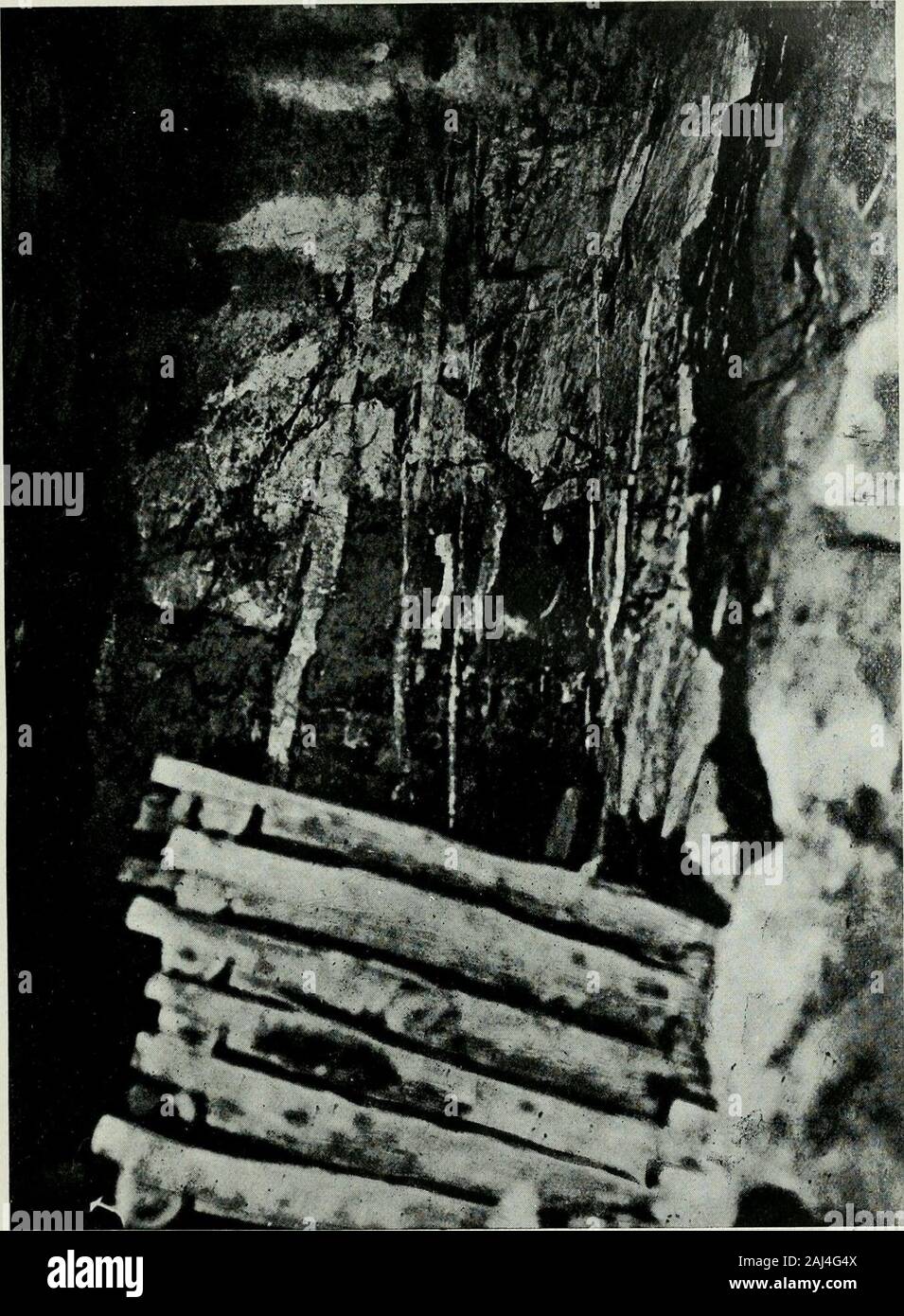 Risorse minerali . dei depositi di stagno del New England (in NewSouth Wales) per l'acido graniti e loro derivati come il pegma-tites, aplites e vene di quarzo. In altri casi sono i rapporti di theHillgrove oro, di antimonio e di caratteristiche fisiche depositi alla dioriti, basicgranites e lamprophyric dighe del campo. Nel caso dell'Canbelego giacimenti, tuttavia, questa dipendenza oflode materiale su roccia ignea intrusioni non è affatto evidente. È vero dal fatto cheuna lunga linea di quarzo e feldspato-porfido, riolite, in tufo e si verificano una littleto est di Canbelego, ma, in primo pla Foto Stock