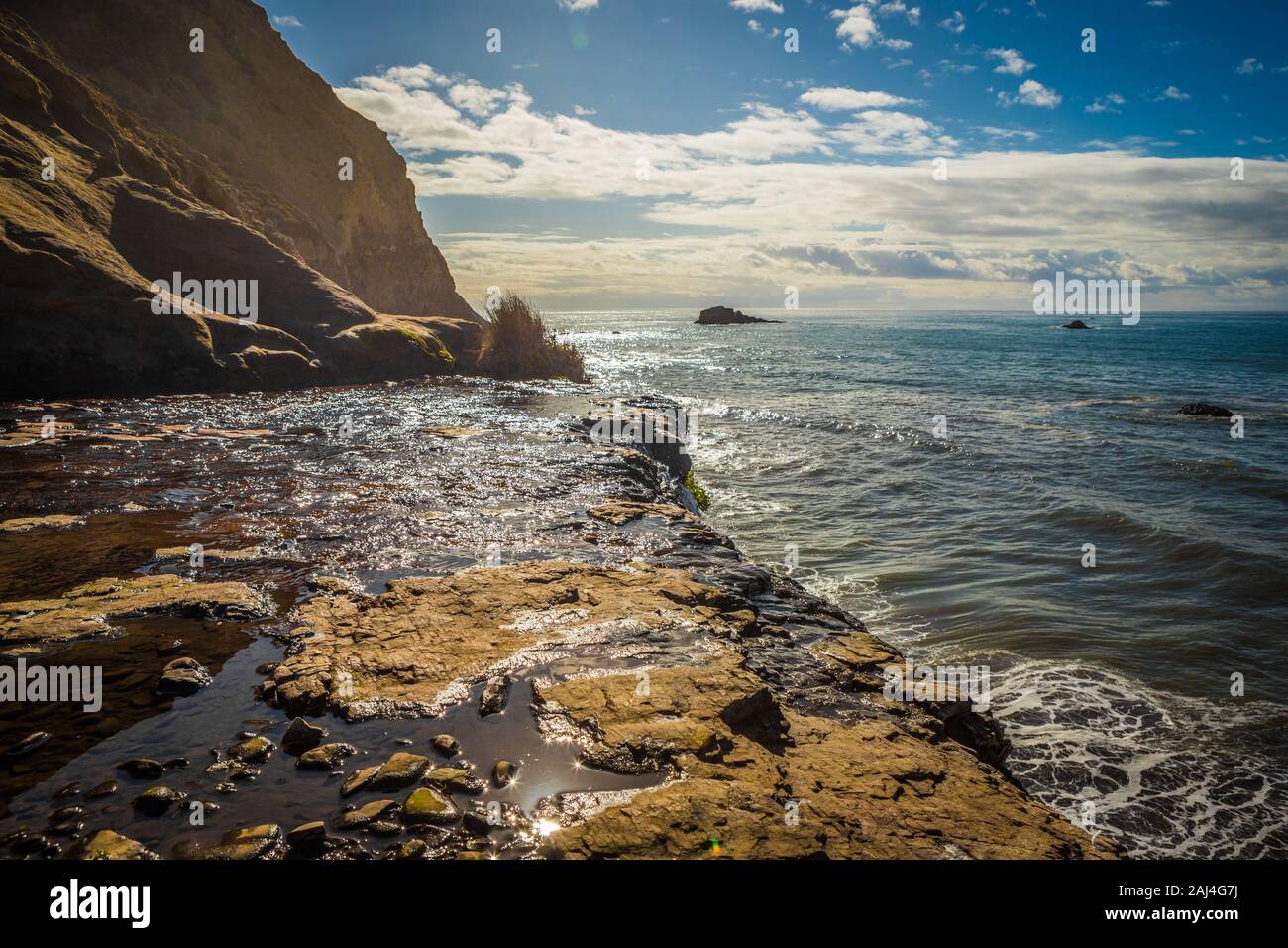 Guardando fuori dalla parte superiore del Alamere cade in una giornata di sole in Point Reyes National Seashore, CALIFORNIA, STATI UNITI D'AMERICA Foto Stock