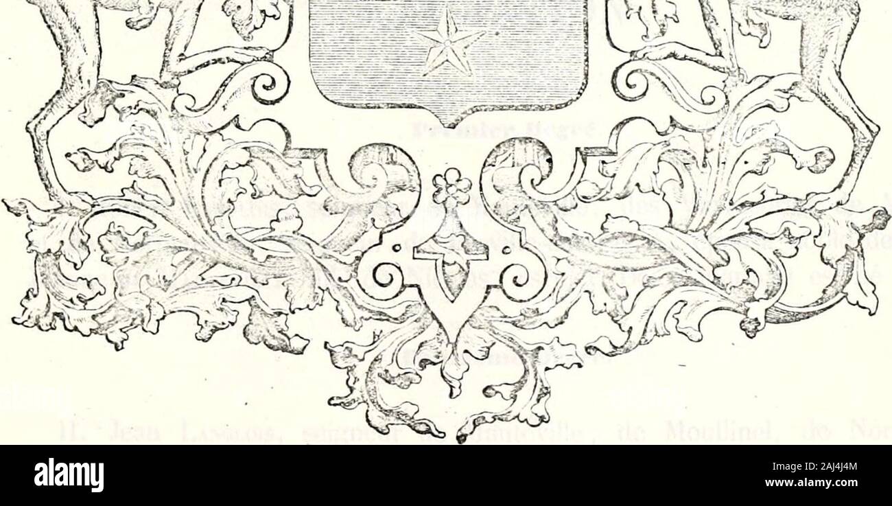 Le nobiliaire universel ou recueil général des généalogies historiques et vérdiques des Maisons nobles de l'Europe . AiiMTS : azzurra, à deux croix dor langées en fasce, accoinjxignécs d^ trois molettes dargent à 5pointes posées 2 en chef et 1 en pointe. - Couuo.nne : De comte. - Sltiouts : Deux lévriers.-DniSK : Gloria et fuitiludo. T i.: f. IISA :J ?V ni, ^^v LiVIsGLOiS ESTAIISTOT D. ^ que dans la lironchc dI^sUiinloL Maintonue dans sa noblesse.c^j^/en 1523, EN 155G^ en 1056 en IGG, clicca un fait encore ?f ETTE Himille dancienne noblosse no subsiste plus aujourdhui y^^mh U^-^ ^^-^ devant Cherin Foto Stock