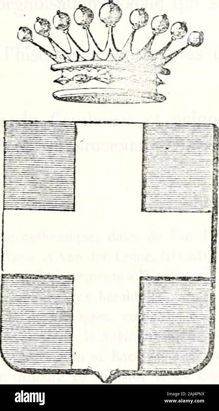 Le nobiliaire universel ou recueil général des généalogies historiques et vérdiques des Maisons nobles de l'Europe . iy E ? • ?, 1. ! CAMBRÉSIS ET BELGIQUE Comtes, Baroni et CnEVALiERS de Bousies; Vicomtes de Rouvekov; BaROXS de AiLLERCUEMlX ; CoMTES DE FaUQUEMBERG j Seigneurs de Saint-Symphorien, Chanvan, FEnuiiaiEs, Le Petit, I1outain-le-Mont, Villiers-ClIEMIX, RoUVEROV, ïviîERCIIAMPS,FaYON, VeRTAING FeLUY, FaMILLEUREUX, RgmERIES; ESCARMAIXG, Gosselies, Pont, Dudzelles, Petit-Roeclx, ecc. AitMES : azzurra, ù la croix dargent. - Suppouts : deux lions supportant deux bannièresaux armes de /ecw Foto Stock