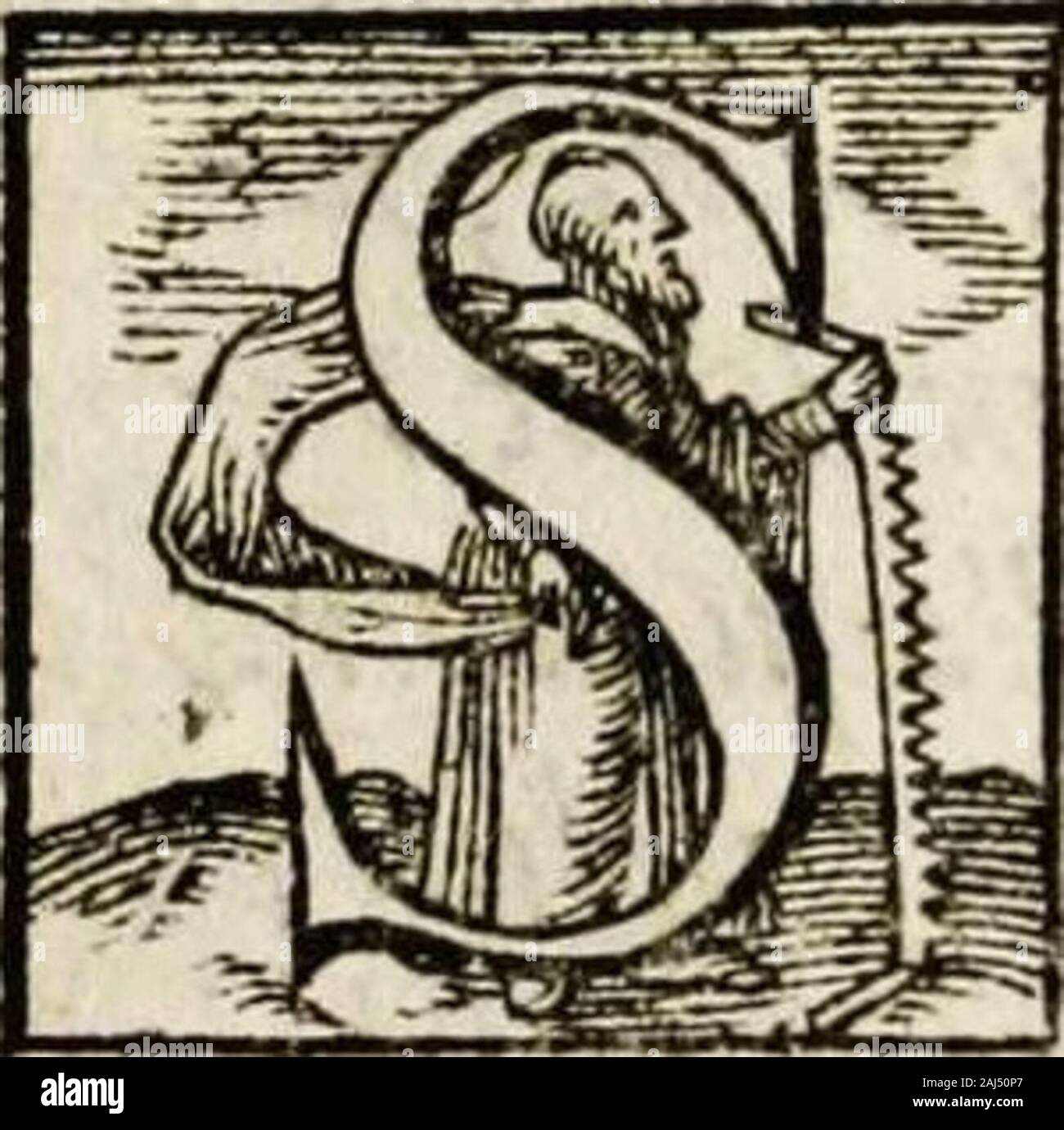 Paradisus sponsi et sponsae in quo messis myrrhae et aromatum ex instrumentis ac mysterijs passionis Christi colligenda, vt ei commoriamur : et, Pancarpium Marianum, septemplici titulorum serie distinctum, vt in B Virginis odorem curramus, et formetur Christus in nobis . 49.Solmmgloria: Dei.Ier.14jo.Regina cseli.Pfal.44 PANCAR- 1 PANCARPIVM , MA RI A N V m, Septcmplici Titulorum (criediftin&um: au&minerale Ioanne P. David,Societacis i e s v Sacerdoce. IN VII. TITVLOS NATALITIOSARGVMENTVM. E p t E M islos primas DeiparxVirginistitulos appeilare nata-l i t i o s lubuit, quod ad ortummunufy maternum, Foto Stock